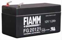 fiamm_fg20121-medium.jpg