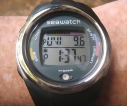 nieuwsseawatch-large.jpg