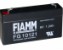 fiamm-fg10121-large.jpg