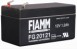 fiamm_fg20121-large.jpg