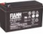 fiamm-fg20721-large.jpg