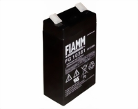 fiamm-fg10381-medium.jpg