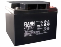 fiamm-fg24207-medium.jpg