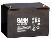 fiamm-fg26505-fg-series-12v-65ah-accu-271x166x190x190-mm_thb.jpg