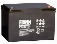 fiamm-fg26505-medium.jpg