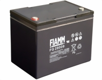 fiamm-fg28009-medium.jpg