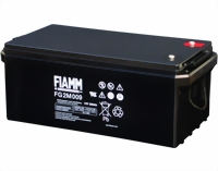 fiamm-fg2m009-medium.jpg