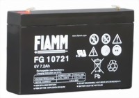 fiamm_fg10721-medium.jpg