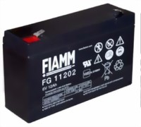 fiamm_fg11202-medium.jpg