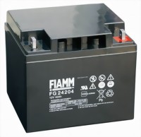 fiamm_fg24204-medium.jpg