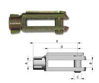 morse-vorkeind-33c-groot_thb.jpg