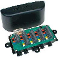 navbus100_thb.jpg