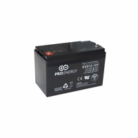 pro-energy-evg12-125-t13-12v-125-ah-330x171x214-214-accu-_gel_-medium.jpg