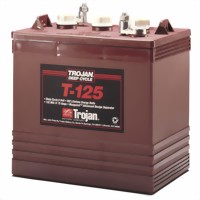 trojan-t125-semi-tractie-6v-225ah-accu-264x181x276-mm-medium.jpg